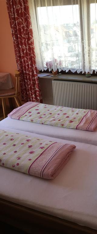 Gasthof Und Pension Mainzer Rad ชเวทซิงเงน ภายนอก รูปภาพ